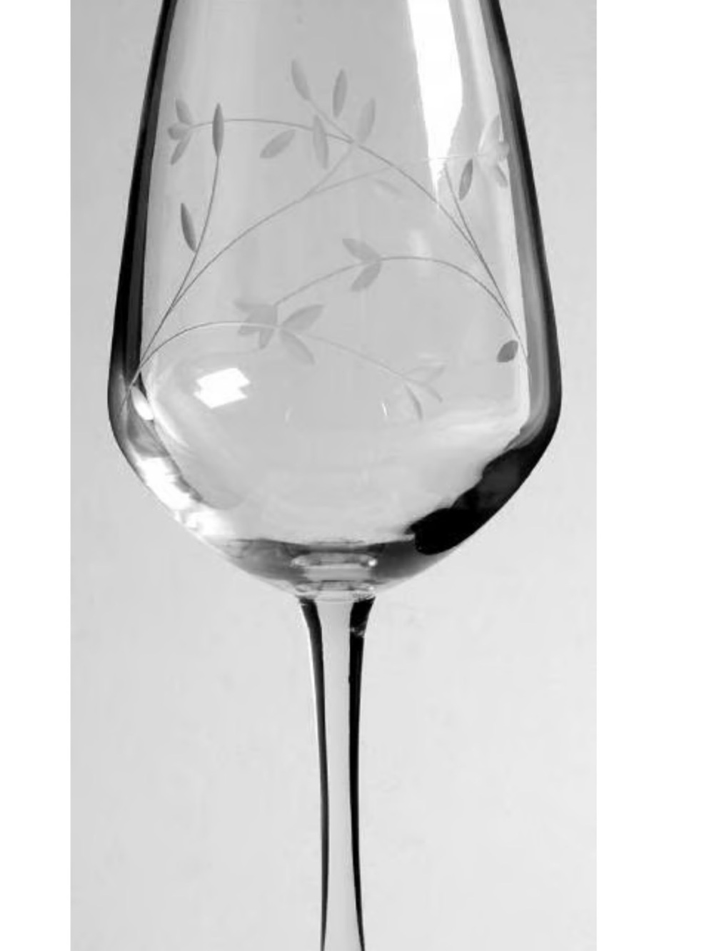 Princess House Princess Moderna Elegant Clear Etched Wine Glasses